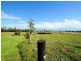 37 Sandy Creek Road, Tully QLD 4854