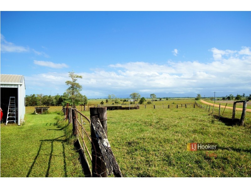 37 Sandy Creek Road, Tully QLD 4854