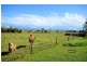 37 Sandy Creek Road, Tully QLD 4854