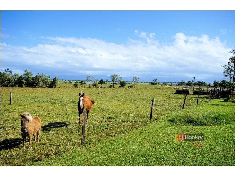 37 Sandy Creek Road, Tully QLD 4854