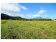 37 Sandy Creek Road, Tully QLD 4854