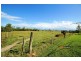 37 Sandy Creek Road, Tully QLD 4854