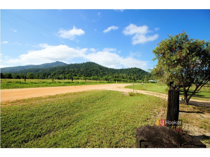 37 Sandy Creek Road, Tully QLD 4854
