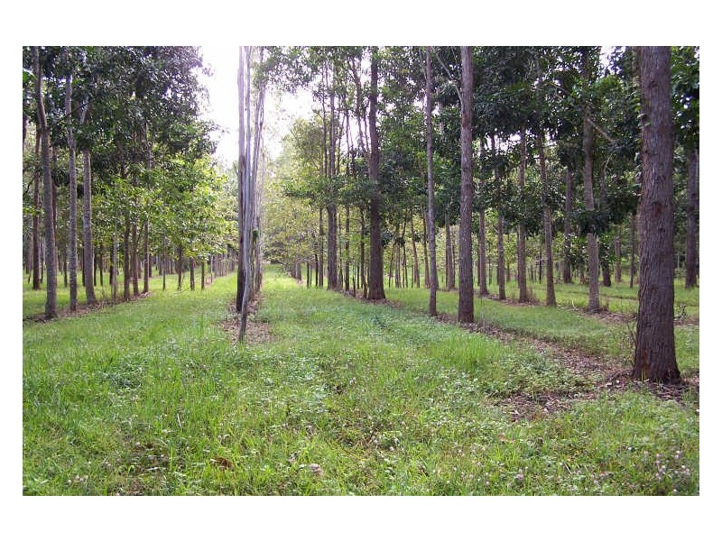 Murray Upper QLD 4854