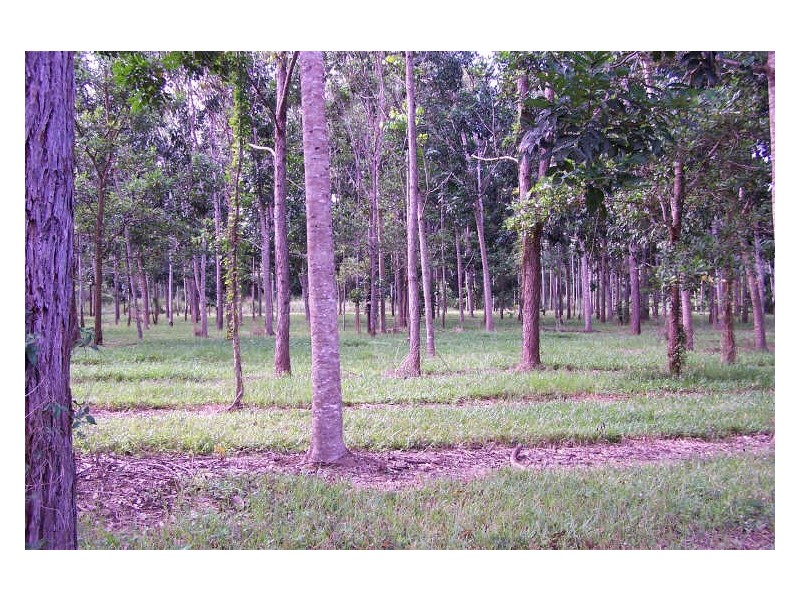 Murray Upper QLD 4854