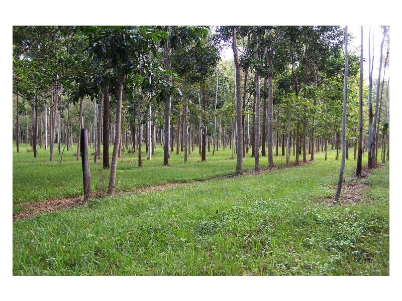 Murray Upper QLD 4854