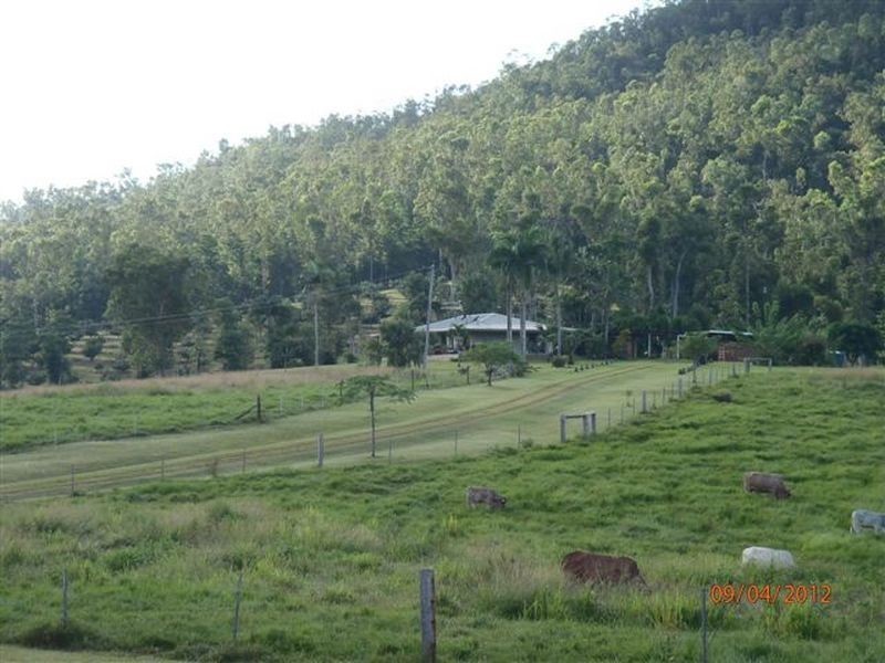 627 Scougall Road – Dingo Pocket, Tully QLD 4854