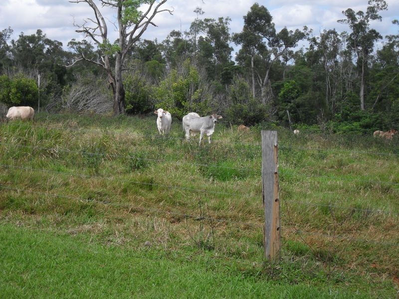 627 Scougall Road – Dingo Pocket, Tully QLD 4854