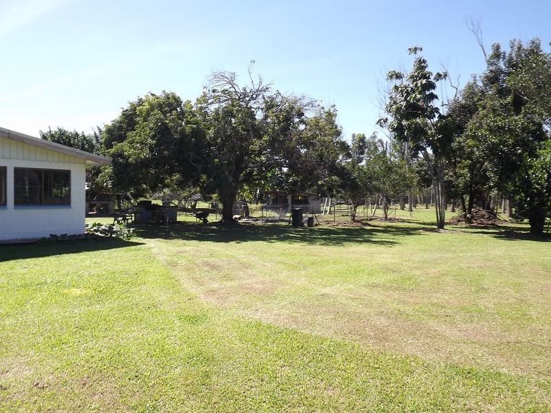 435 BILYANA RD, Murray Upper QLD 4854
