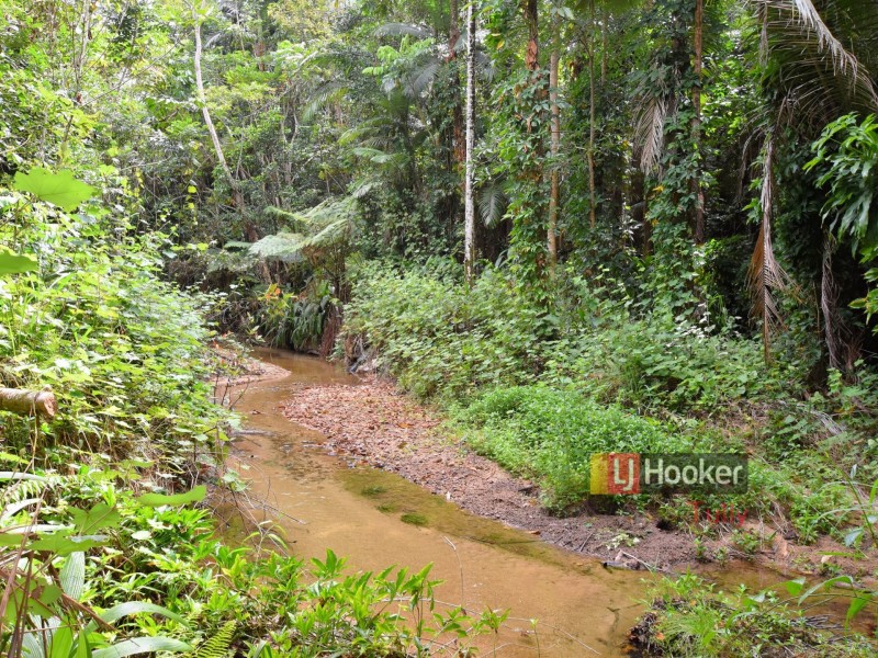 687 Old Tully Road, Djarawong QLD 4854