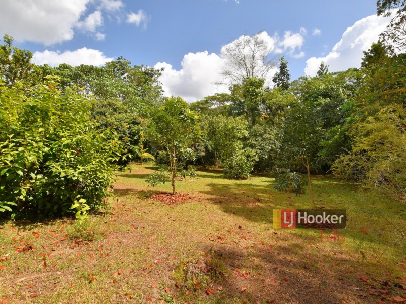 687 Old Tully Road, Djarawong QLD 4854