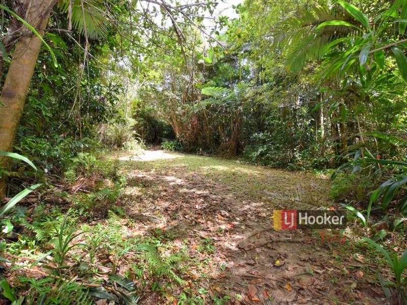 687 Old Tully Road, Djarawong QLD 4854