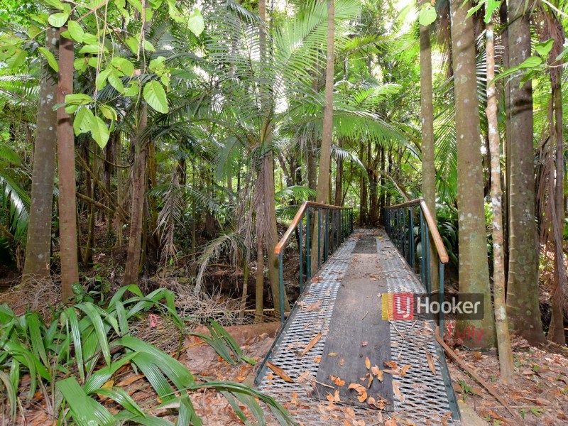 687 Old Tully Road, Djarawong QLD 4854