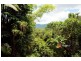 222 Bulgun Road, Bulgun QLD 4854