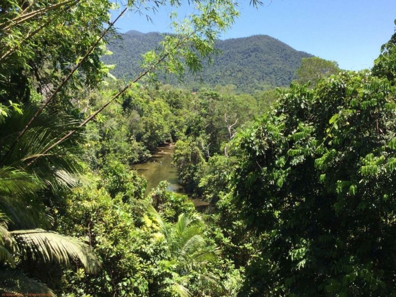 222 Bulgun Road, Bulgun QLD 4854