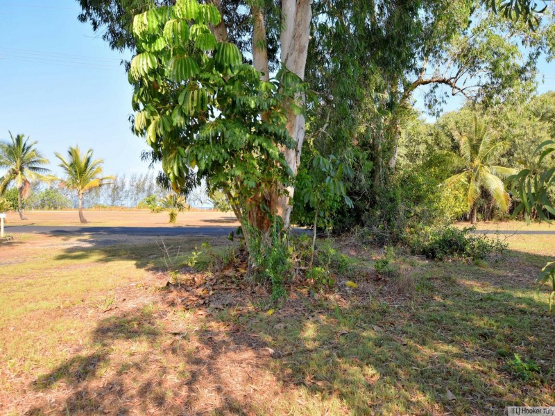 95 Taylor Street, Tully Heads QLD 4854