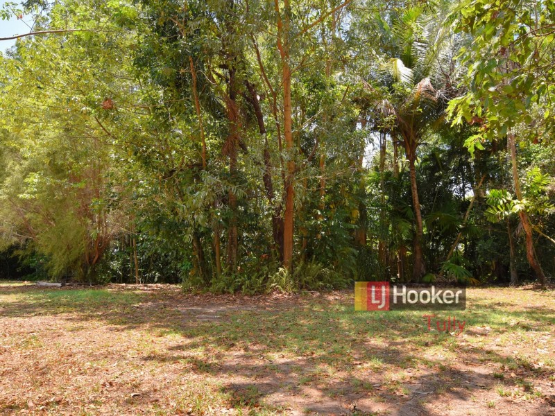 62 Paradise Palm Drive, Tully Heads QLD 4854