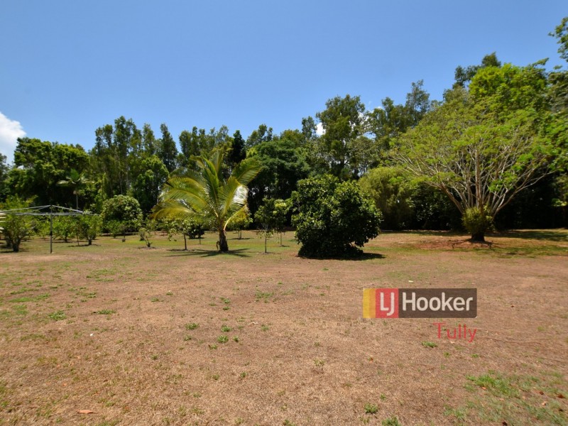 62 Paradise Palm Drive, Tully Heads QLD 4854