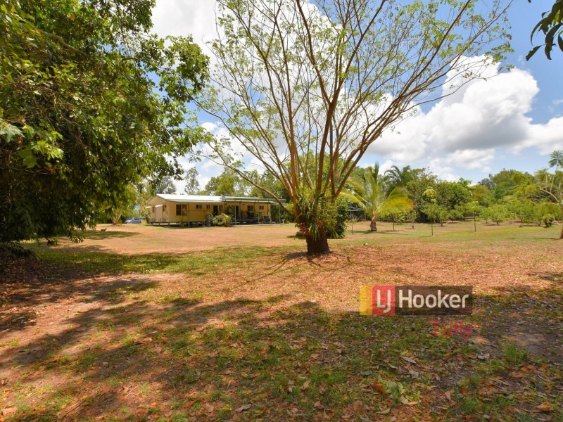 62 Paradise Palm Drive, Tully Heads QLD 4854