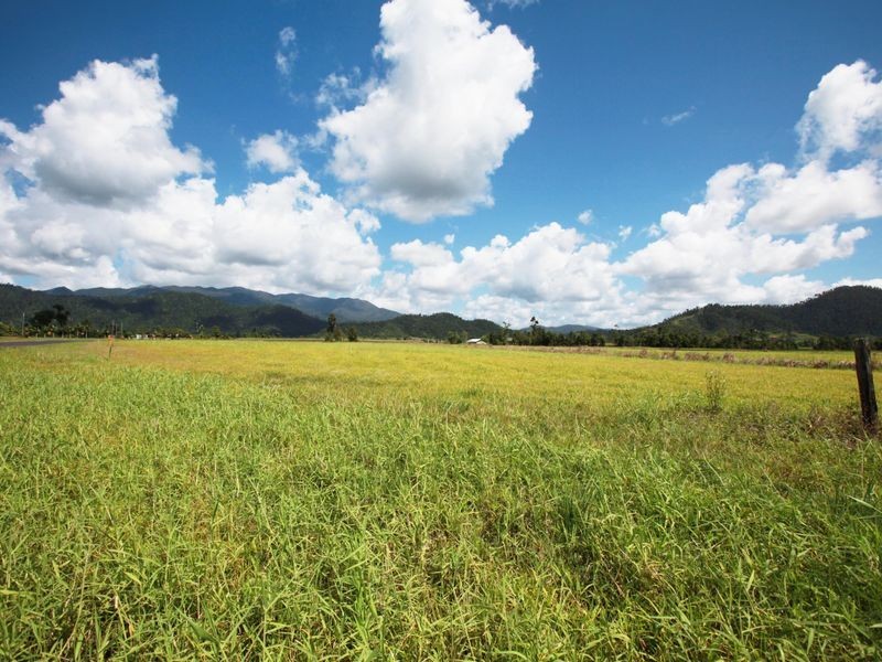 1521 Old Tully Road, El Arish QLD 4855