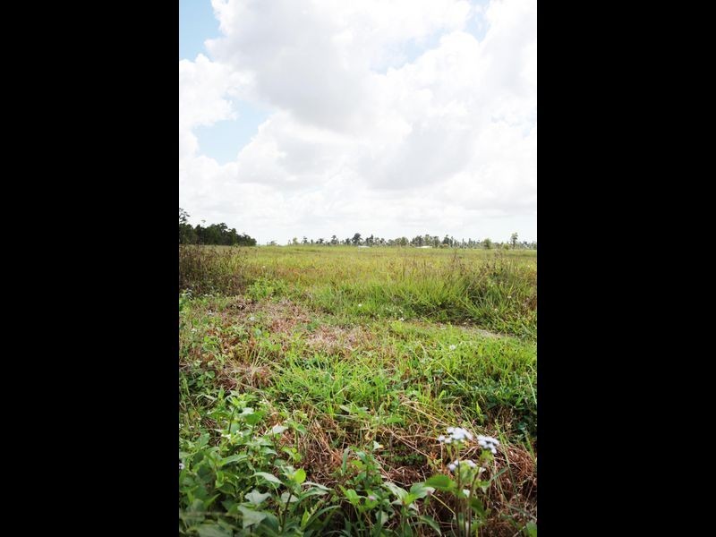 1521 Old Tully Road, El Arish QLD 4855