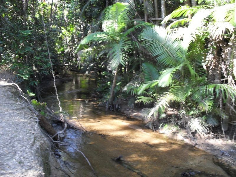 447 Bulgun Road, Tully QLD 4854