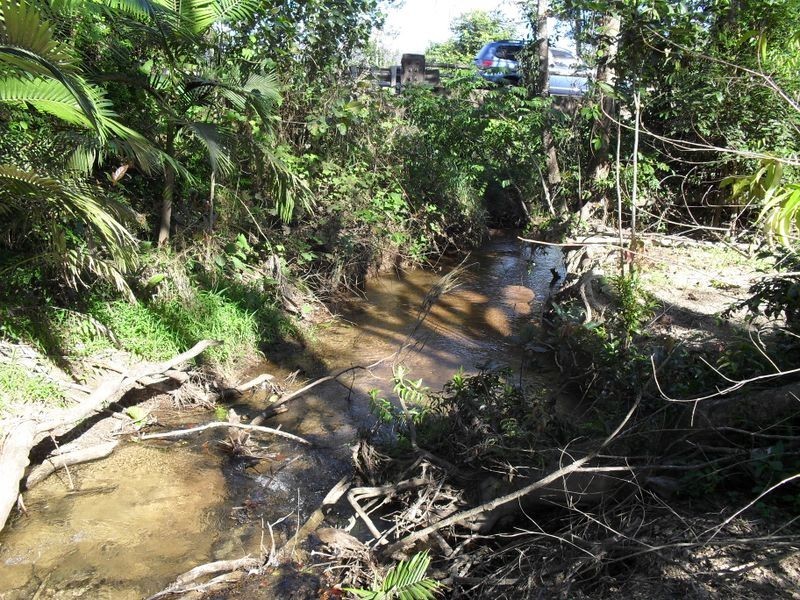 447 Bulgun Road, Tully QLD 4854