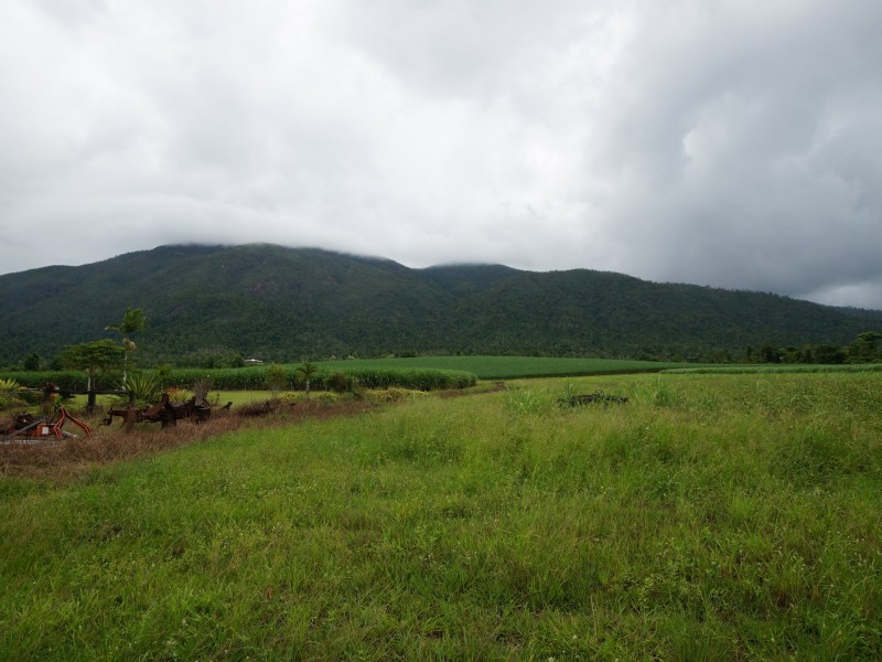 L4 Murray Street, Tully QLD 4854