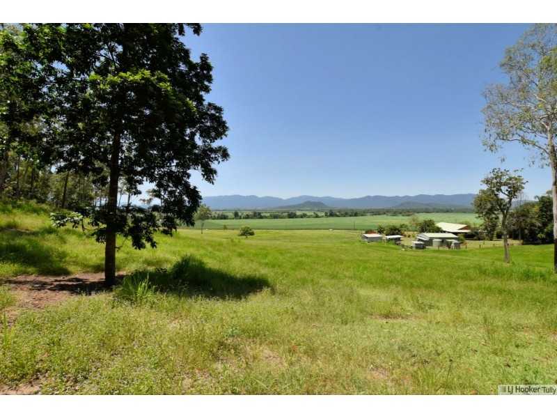 1765 Davidson Road, Munro Plains QLD 4854