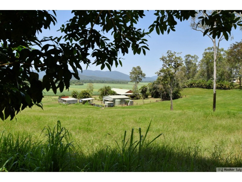 1765 Davidson Road, Munro Plains QLD 4854