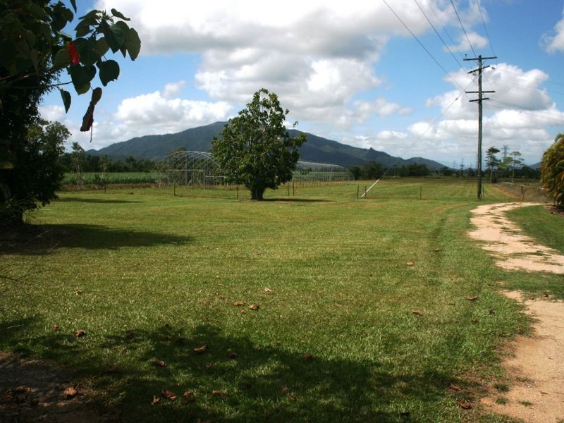 L559 East Feluga Road, East Feluga QLD 4854