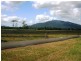 L559 East Feluga Road, East Feluga QLD 4854