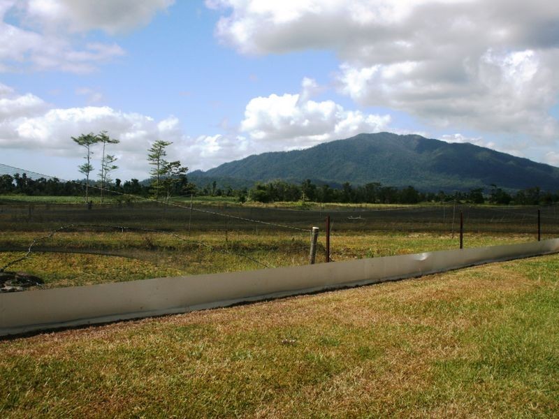 L559 East Feluga Road, East Feluga QLD 4854
