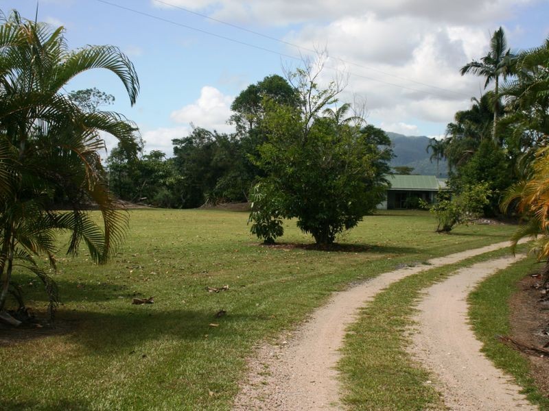 L559 East Feluga Road, East Feluga QLD 4854