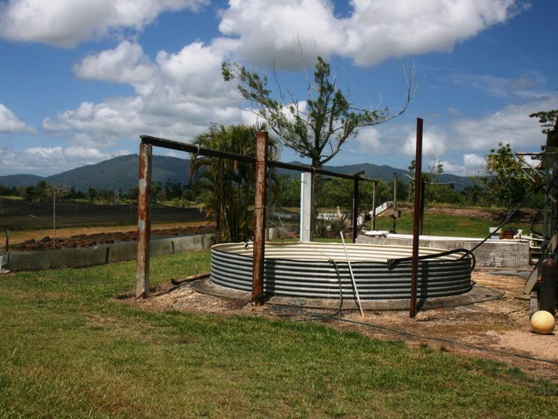 L559 East Feluga Road, East Feluga QLD 4854