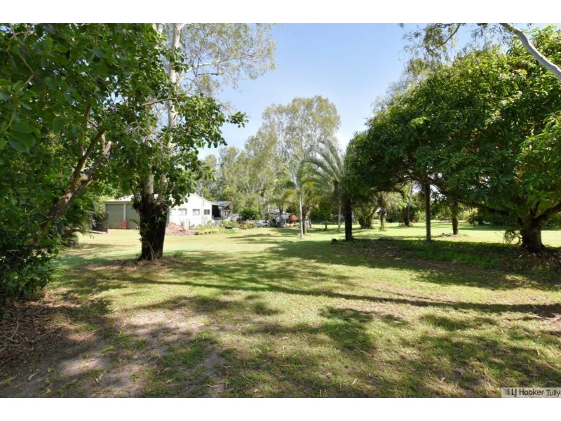 11 Paradise Palm Drive, Tully Heads QLD 4854