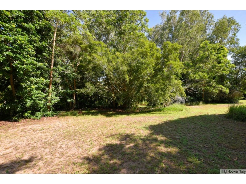 11 Paradise Palm Drive, Tully Heads QLD 4854