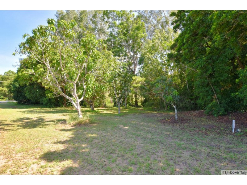 11 Paradise Palm Drive, Tully Heads QLD 4854