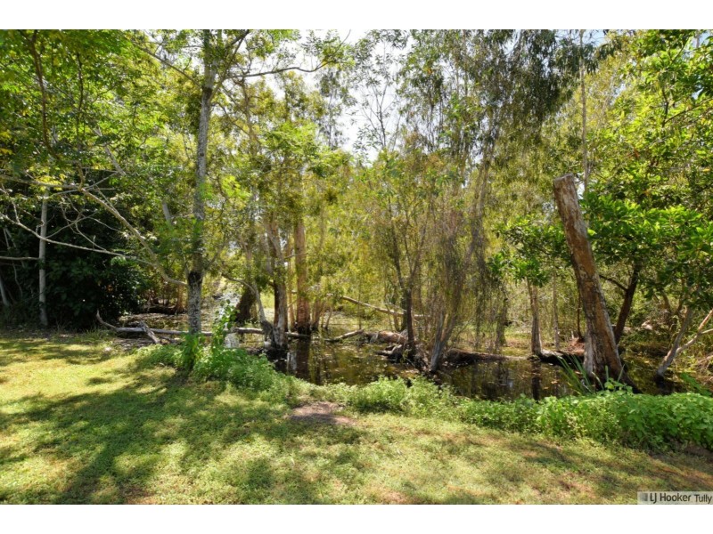 11 Paradise Palm Drive, Tully Heads QLD 4854