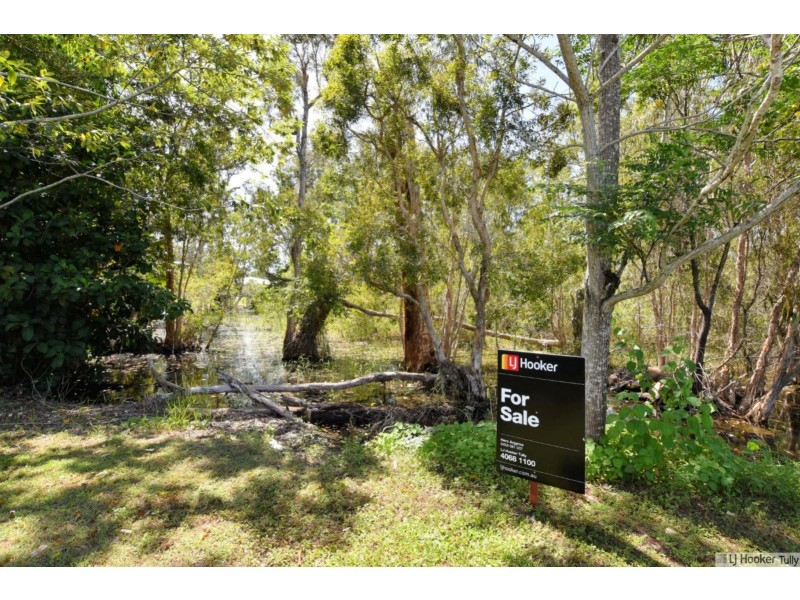 11 Paradise Palm Drive, Tully Heads QLD 4854