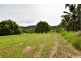 479 East Feluga Road, East Feluga QLD 4854