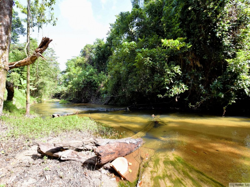 47 Bilyana Road, Bilyana QLD 4854