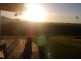 36 South Davidson Road, Munro Plains QLD 4854