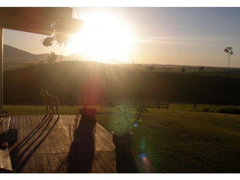 36 South Davidson Road, Munro Plains QLD 4854
