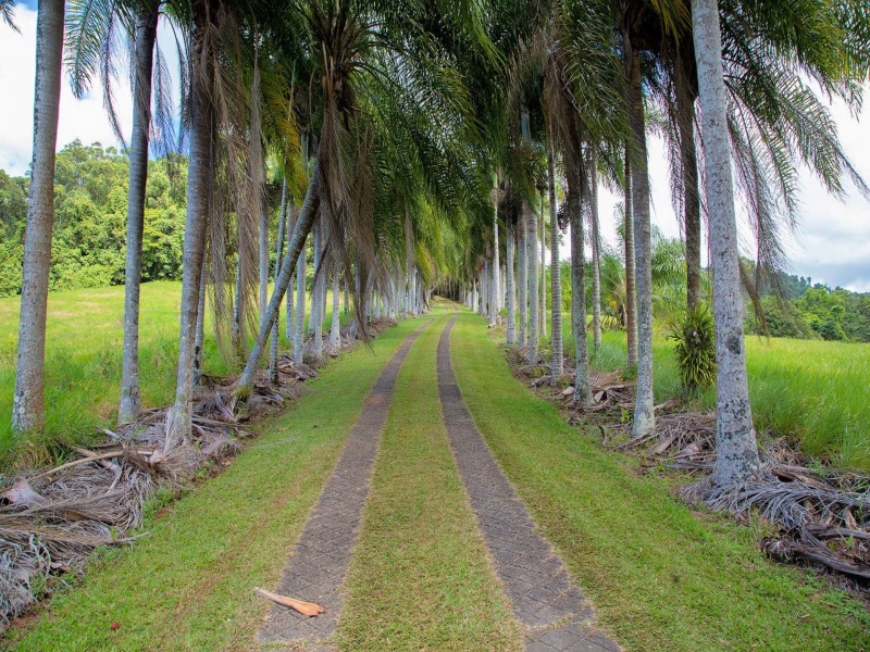 145 Hill Sixty Road, Jaffa QLD 4855