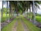 145 Hill Sixty Road, Jaffa QLD 4855