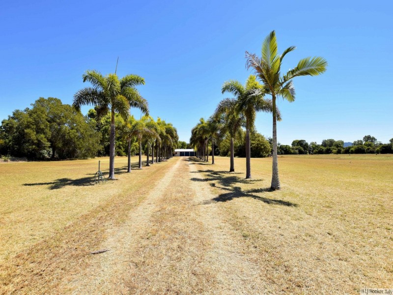 14 Vipiana Drive, Tully Heads QLD 4854