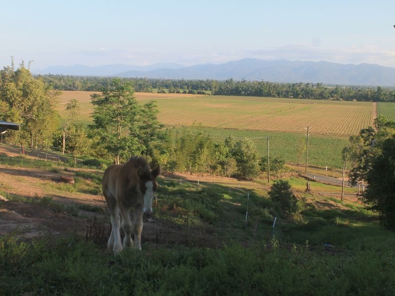Tully QLD 4854