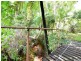 730 East Feluga Road, East Feluga QLD 4854