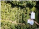 730 East Feluga Road, East Feluga QLD 4854